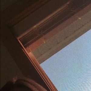 Meet your Posher, Hailie